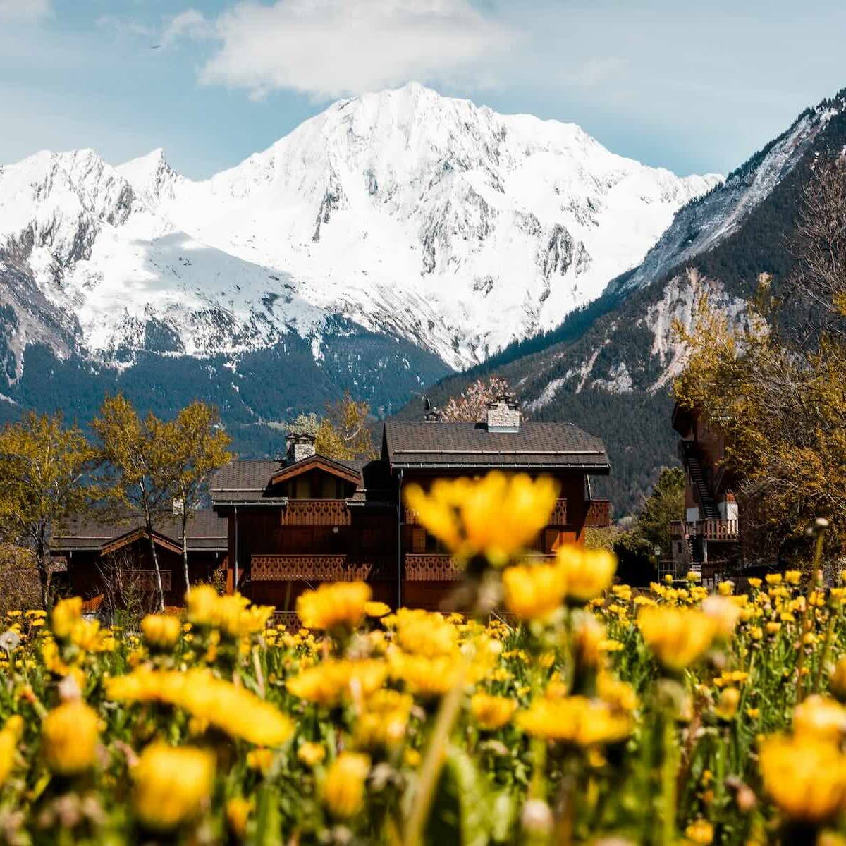 Chalet Jardin d'Angèle | ©Courchevel Tourisme, village de montagne, fleurs et montagnes enneigées
